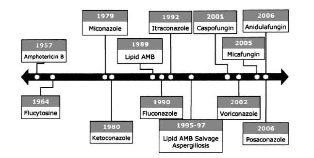 Antifungaller: Tarihçesi (son 60 yılın) 1-60 yıldır (1957) D-AmB (~ L-AmB 30 yıldır) 2-30 yıldır