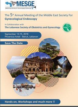 Orta Doğu Jinekolojik Endoskopi Kongresi (MESGE) Lübnan da