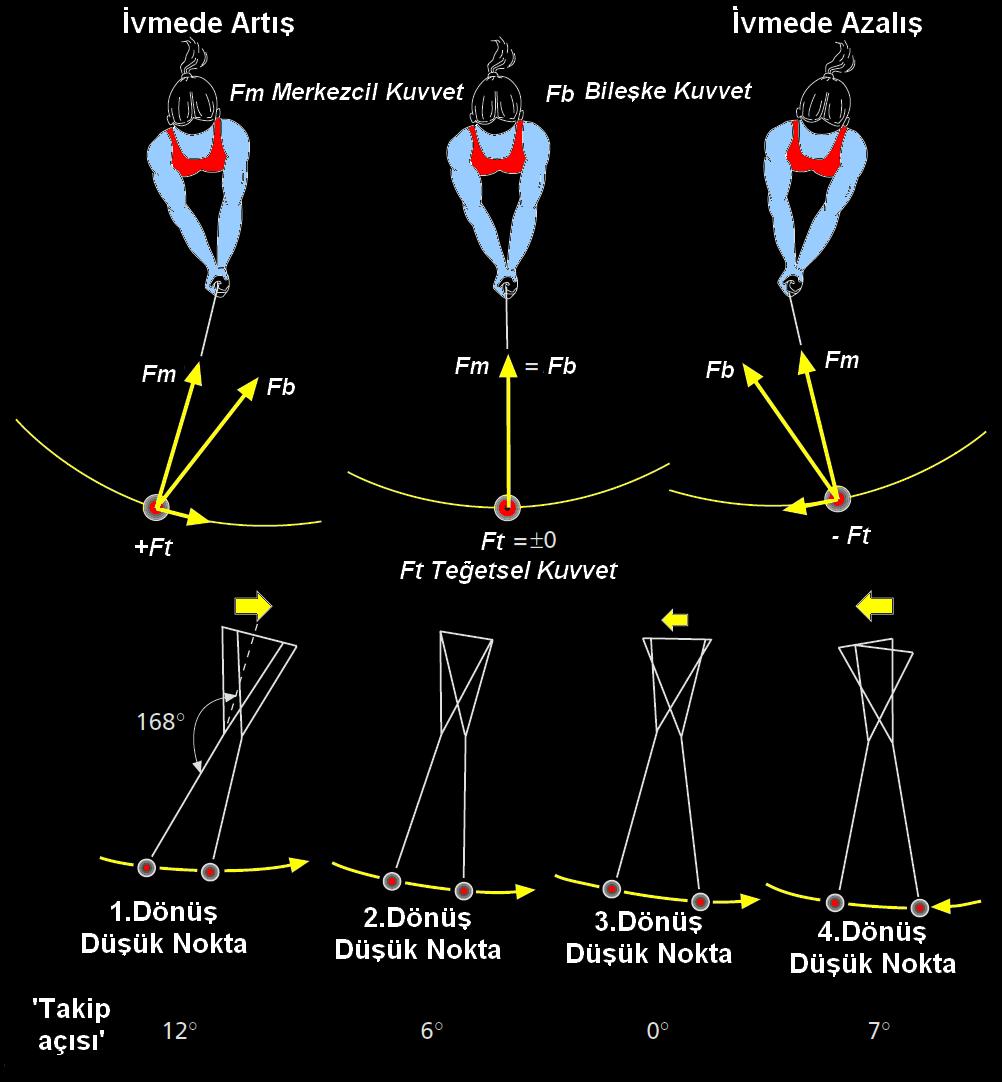 Top: The main forces acting on the hammer (the accelerating and decelerating effect of gravity is not taken into account).