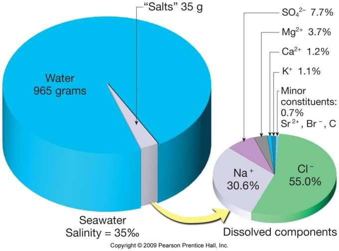 Suda çözünmüş katı madde miktarı Toplam:1 kg «Tuz» Su Minör