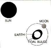 Küçük Gelgit Ay, genel olarak ilk dördün ya da son dördün olarak gözlemlenmektedir.