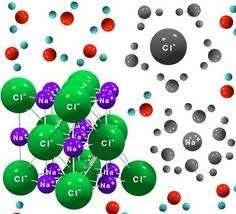 Elektrolitlerin fonksiyonları Metabolik olaylar Ozmotik basıncın düzenlenmesi Suyun vücut sıvı boşluklarında dağılımında Asit-baz dengesinin