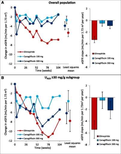 Canagliflozin vs glimepiride egfr Kan şekeri