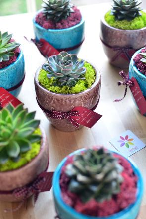 EL YAPIMI RENKLİ VAZOLARDA SUKULENTLER Farklı renklerde el yapımı vazolara ekilmiş çeşit çeşit sukulent ile hazırlanmış şık bir yılbaşı hediyesi.