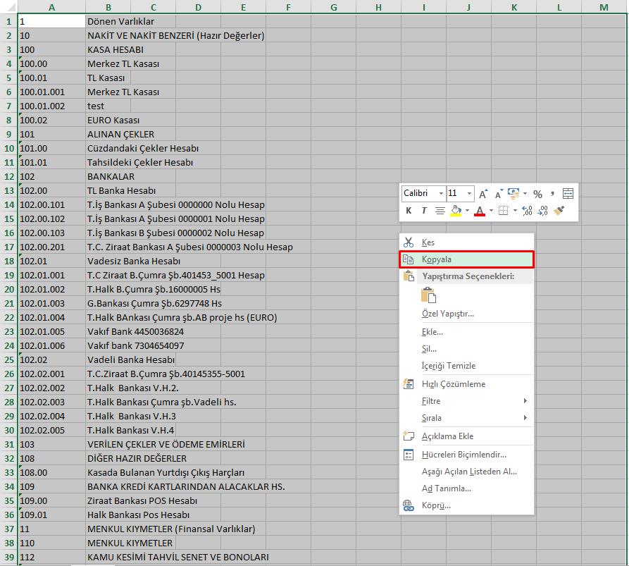 Excel Dosyasından Hesap Planı Kopyalama Excelde yukarıdaki ekran görüntüsünde hesap kodları ve tanımları seçildikten sonra seçim üstünde Mouse + Sağ Tuş Tıklaması yapıldıktan sonra kırmızı