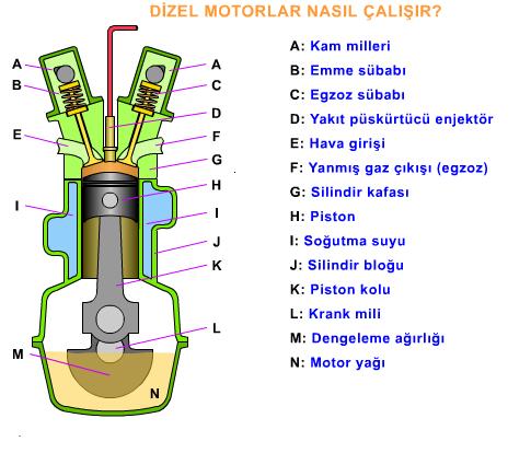 Motor Gövdesi (Üst karter) : Pistonun hareket ettiği silindir, krank mili yatakları, soğutma ceketleri veya kanatcıklarından ve kam mili yataklarından meydana gelir. Motor bloğu da denir. 2.