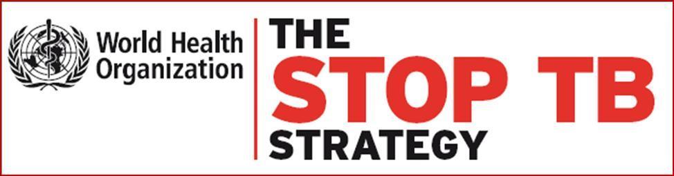 Stop TB Stratejisi Doğrudan gözetimli tedavi stratejisi (DGTS) nin kaliteli şekilde uygulanması TB/HIV ve ÇİD-TB* yi kapsaması Sağlık sistemini güçlendirme Sorumluluk taşıyan bütün