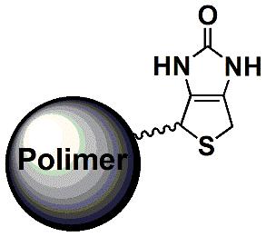 FONKSİYONEL POLİMER PARTİKÜLLER 50, 100, 200 ve 500 nm Poli(Metil Metakrilat) (PMMA), Poli(Stiren) (PS), Poli(EtilenGlikol Metakrilat) (PEGMA) ve Poli(N-İzopropil Akrilamid) (PNIPAM) Partiküller.