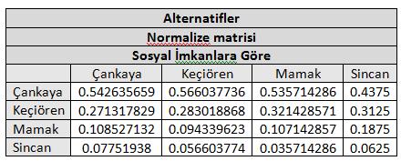 ardından kriterlerin önem değerleri