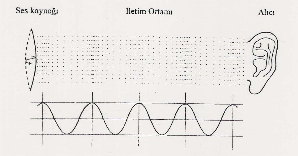 İşitsel