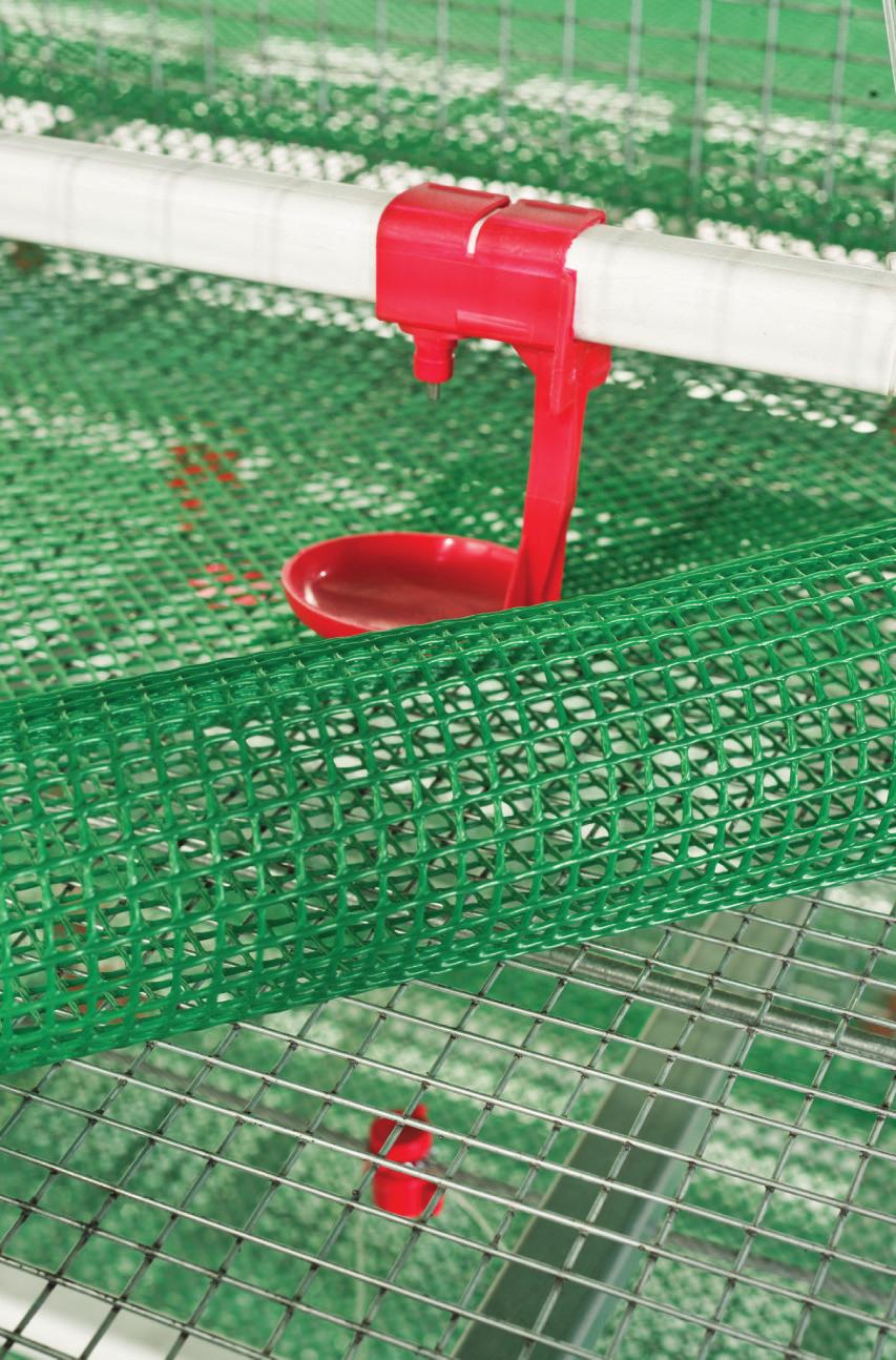 GÜBRE SEVK SİSTEMİ Gübre, her kafes sırası ve katının altında bulunan, kafes boyunca uzanan temizlenmesine ve olanak gübrenin tanıyan, kusursuz 1 mm