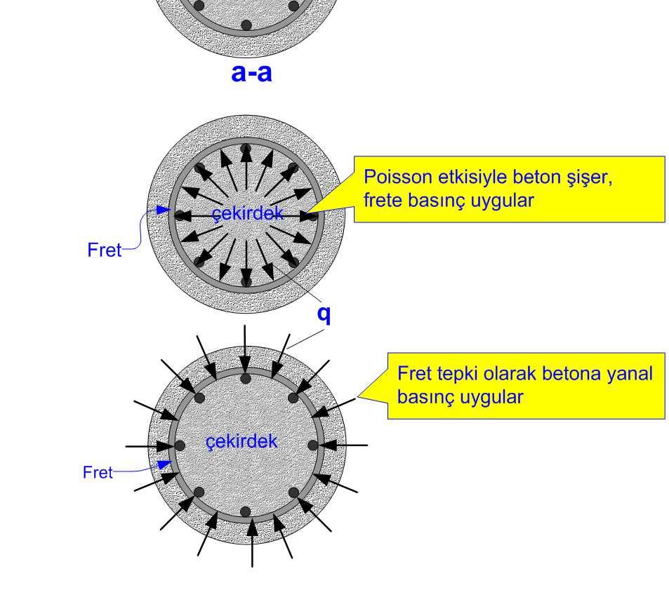 Fret, etki=tepki nedeniyle, aynı q basıncıyla göbeği sıkıştırır, yani beton yanal gerilme etkisindedir. Yanal basınç nedeniyle beton üç eksenli gerilme altındadır.