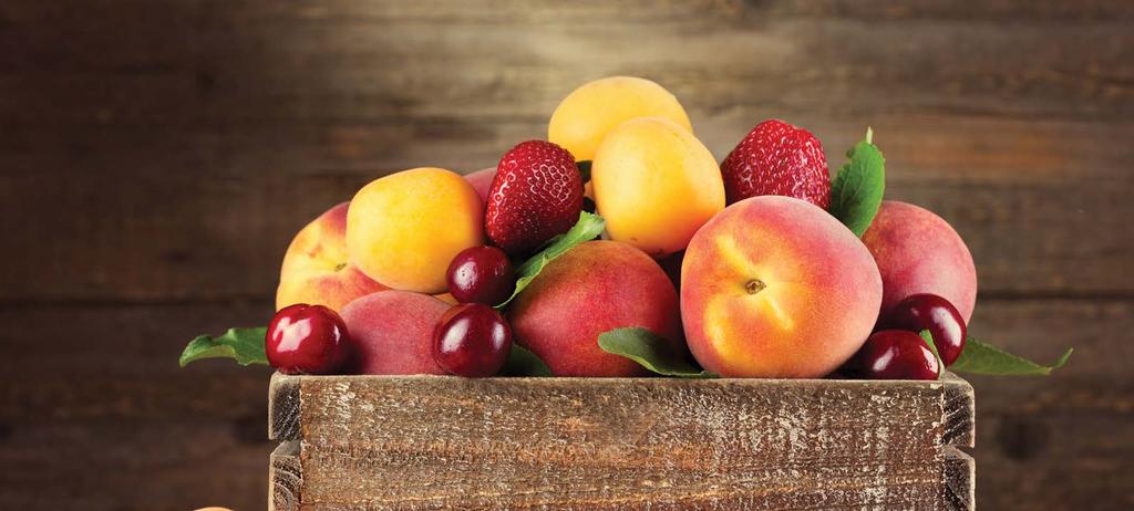 34 35 Bolkar Meyve Nektarı ÜRÜN KOLİ ADEDİ NET BRÜT PALET 1/1 12 12 kg 13 kg 72 koli Meyve suyunun sağladığı kalori ile meyvenin sağladığı kalori aynıdır.