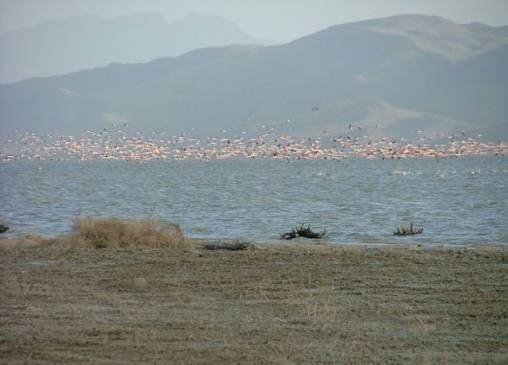 Yıllık ortalama yağışın 185 mm civarında düştüğü Neyriz gölleri ve yakın çevresinde yıllık yağış değerlerinde yıldan yıla uzun yıllar ortalamasından önemli ölçüde sapmalar görülür.