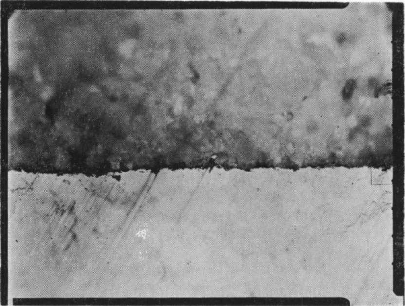 METAL - PORSELEN BAĞLANTILARI turduğu bağın devamlılığı ve siyah bir çizgi halinde görülen oksit tabaka izlenmektedir (Resim 3). Resim 3: «A» örneğinde Metal - Porselen Bağlantısı (300 Büyütme).