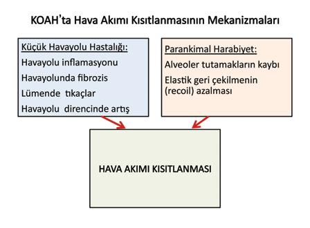 gelişen bu anormal inflamasyonun etkisini daha da artırır (Başyiğit, 2010; Türk Toraks Derneği Kronik Obstrüktif Akciğer Hastalığı Tanı ve Tedavi Uzlaşı Raporu, 2010; GOLD, 2015). Şekil 1.