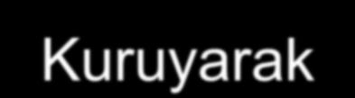 6.1.7 Bina ve tesislere zarar verirler. 6.1.8 Kuruyarak yangın tehlikesi oluştururlar.