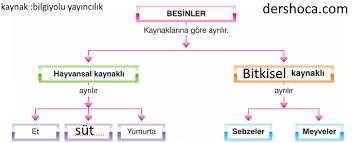 Çocuklar da koşmak, oynamak ve zıplamak için gerekli olan enerjiyi besinlerden sağlarlar Büyüme, gelişme ve sağlıklı yaşamak için gerekli olan