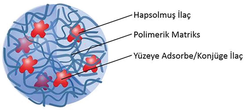 Nanoküreler polimerik bir matriksten oluşan ilaç taşıyıcı sistemlerdir. İlaç polimerik küre içinde dağılmış olabileceği gibi yüzeye adsorbe olabilir.