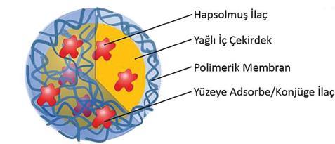 Nanokapsüller polimerik bir zarf ve yağlı bir iç çekirdekten
