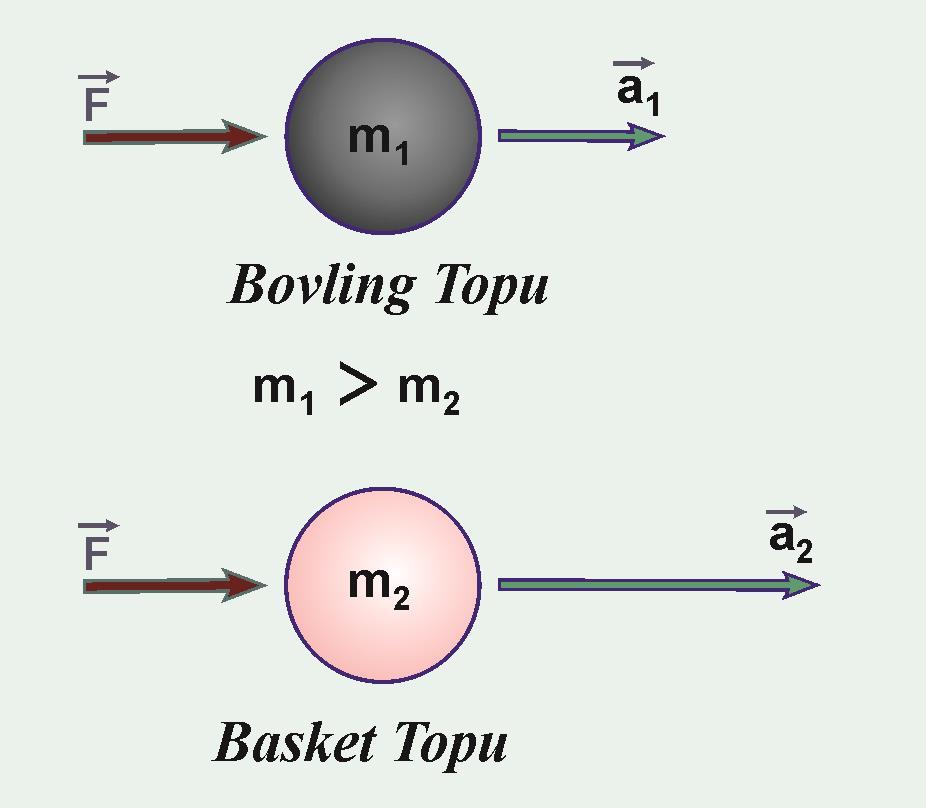 Yapılan deneylerden, her iki topun kütlesinin oranı, F kuvveti ile kazandıkları ivmelerin oranının tersine eşit olduğu gözlenmiştir.