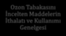 Yönetmelik Ozon Tabakasını İncelten Maddelerin İthalatı