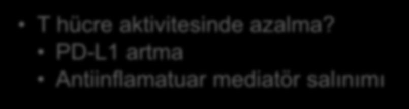 baskılar (farelerde) Kupfer hücreleri Dendritik hücreler T hücre aktivitesinde azalma?