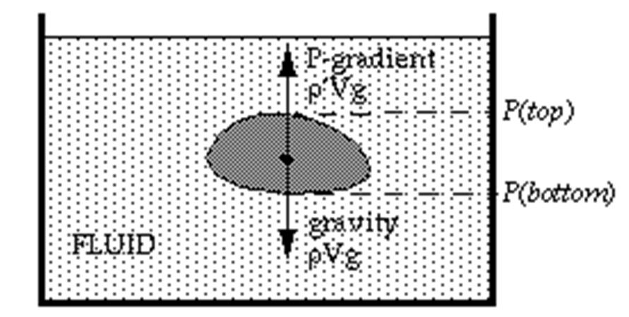 html Havanın Kaldırma Kuvveti (Bouyancy) Fnet = (ρ - ρ).vg γ a ρ ρ ρ.