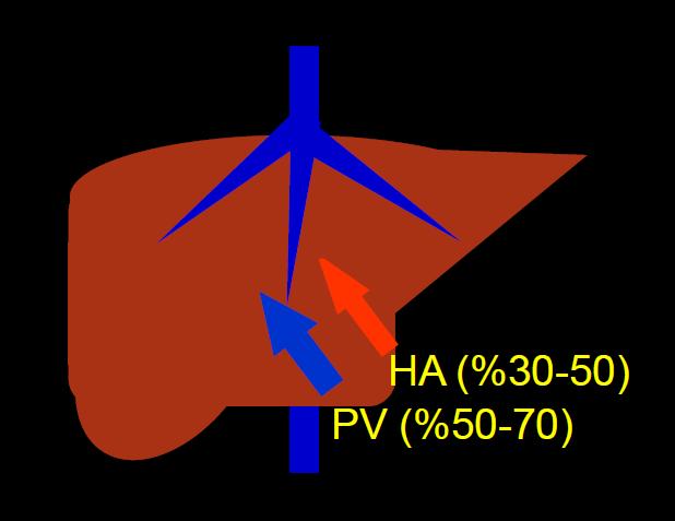 Karaciğerde dual kanlanma (hepatik arter %20-25, portal ven %75-80)