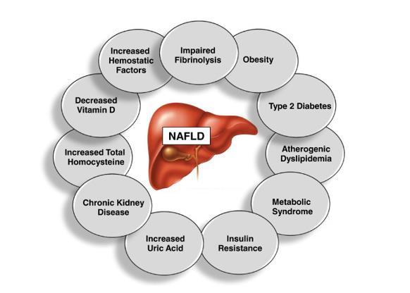 NAFLD ve Kardiovasküler Hastalık