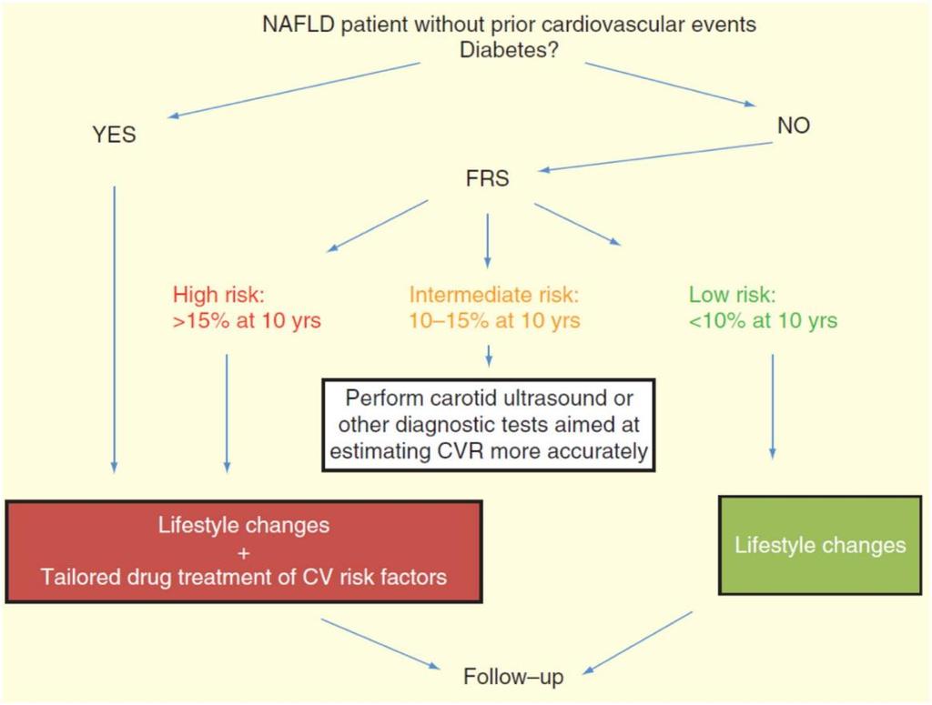 NAFLD lı hastanın kardiyovasküler risk açısından