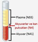 4. Bir damarın çap alanına göre sıralanışı: Toplardamar>Atardamar>Kılcaldamar 5.