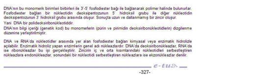 37. Rekombinant DNA çalışmalarında kullanılan aşağıdaki enzimlerden hangisi fosfodiester bağını hidroliz eder?