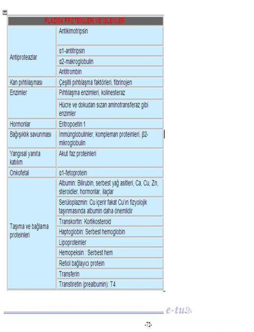 23. Aşağıdakilerden hangisi plazma proteinlerinin görevlerinden biri değildir?