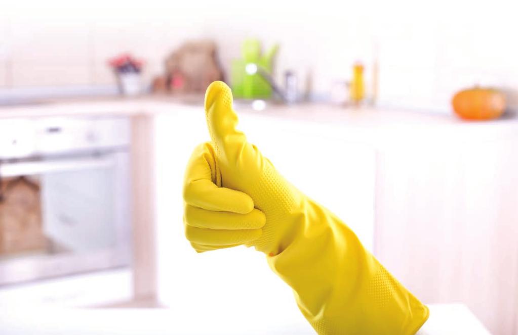 Elde Bulaşık Yıkama Ürünleri / Hand Dishwashing Products 403 Elde Bulaşık Yıkama Deterjanı Hand Dishwashing Liquid Çok köpüren elde bulaşık yıkama maddesidir.
