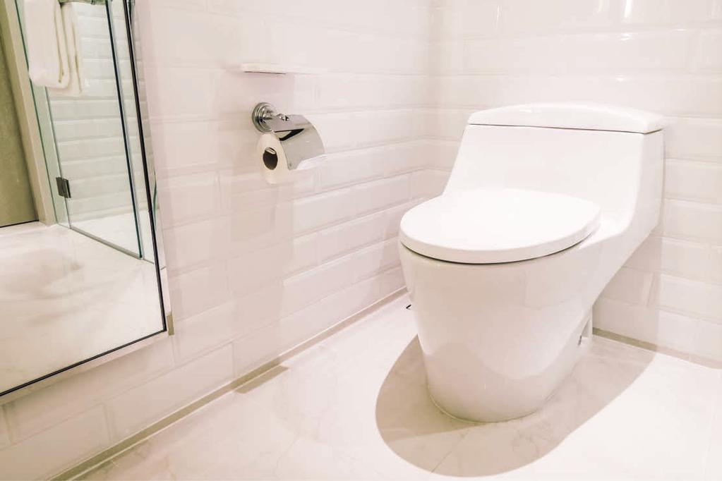 Banyo Temizlik Ürünleri / Bathroom Cleaning Products G 324 Hijyenik Kireç Önleyici Banyo Temizlik Maddesi Hygienic Descaler Aside karşı dayanıklı ve metal yüzeylerde oluşan kireç lekelerini