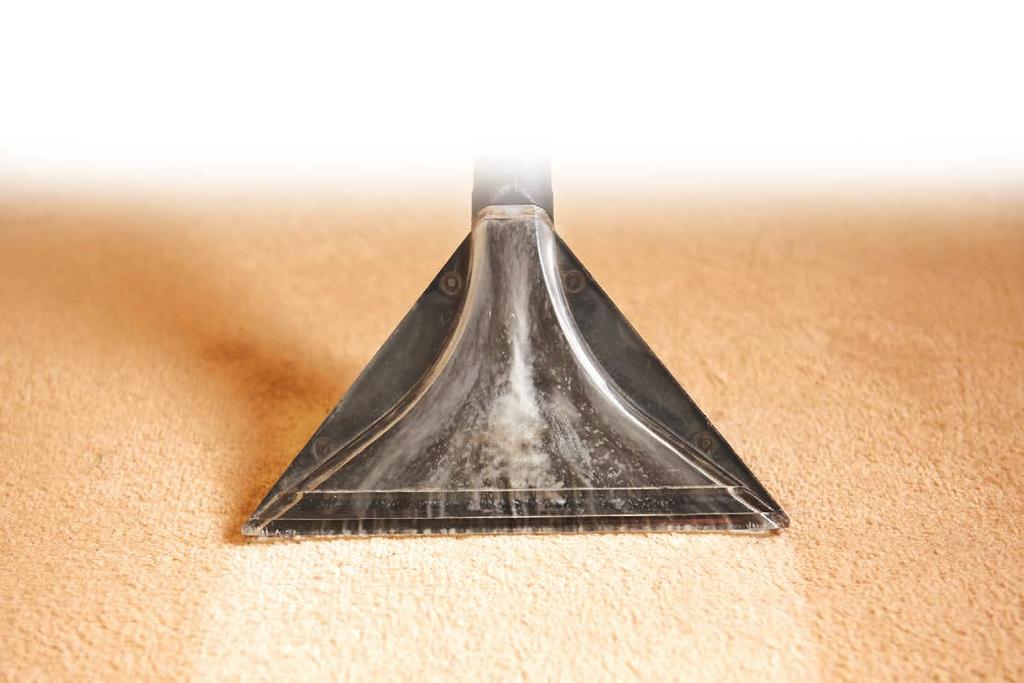 Halı Yıkama Şampuanları / Carpet Shampoo 200 Halı Şampuanı Carpet Shampoo Halı ve koltuk yüzeylerinin temizliğinde kullanılır.