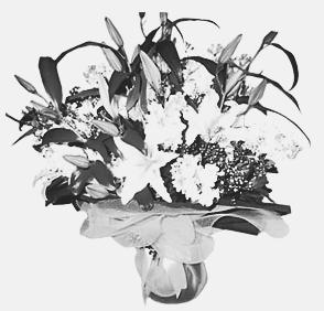 Tekst 15 Çiçek fiyatları sevgililerin elini yakacak! Soğuk havanın olumsuz etkilediği çiçek piyasasında, Sevgililer Günü ne doğru yüzde 50 nin üzerinde fiyat artışı olacağı belirtiliyor.