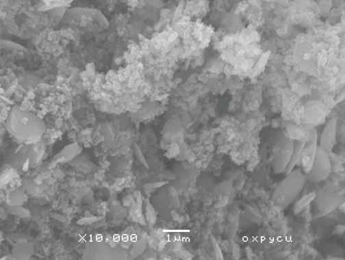 4H 2 O tuzunun kimyasal olarak indirgenmesi ile hazırlanan Ni(0) ın tanecik boyutunun 1 mikrometrenin çok altında olduğu görülmektedir (Şekil 4.41). Ni/PPy-HCOOH (Şekil 4.