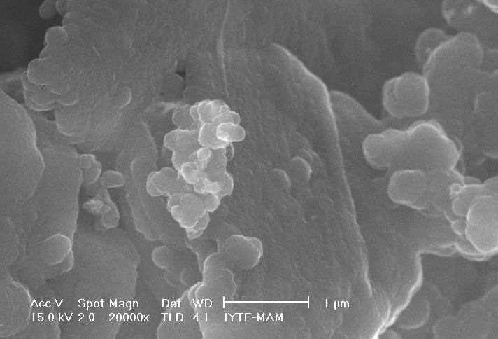 ait SEM mikrografı Şekil 4.44.