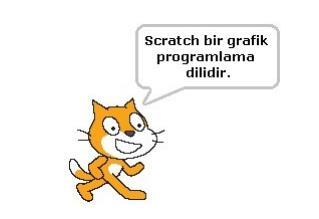 Scratch in gelişmiş ve kullanması kolay bir arayüzü vardır. Scratch arayüzü 3 ana bölmeden oluşur. 1. Blok Paletinde karakterleri programlamak için kullanılan bloklar vardır. 2.