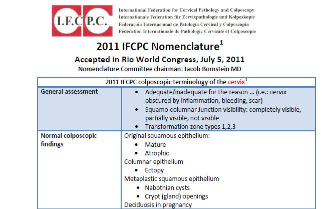 Genel değerlendirme i 2011 IFCPC Serviks kolposkopik terminoloji Yeterli / yetersiz ise sebepler (örn. serviks inflamasyondan görülmüyor; kanama, skar vs.