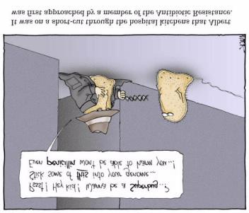 ESKAPE PATOJENLERİ Vankomisin dirençli enterokok Metisilin dirençli Staphylococcus aureus GSBL üreten