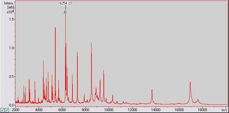 4. Toplam spektrumu, IVD BTS noktası üzerindeki farklı tarama konumlarından 6 x 40 lazer atımını toplayarak manuel olarak ölçün.