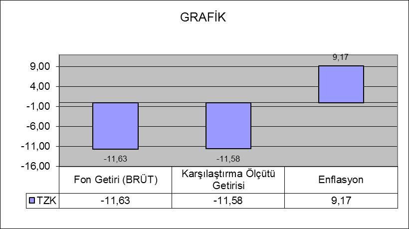 B. PERFORMANS BİLGİSİ Toplam Getiri (%) Karşılaştırma Ölçütünün Getirisi /Eşik Değer (%) Enflasyon Oranı (%) Portföyün Zaman İçinde Standart Sapması % Karşılaştırma Ölçütünün Standart Sapması Sunuma