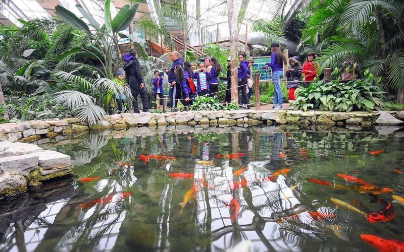 İzmir Doğal Yaşam Parkı Avrupa nın en doğal yaşam alanı olan bu park Çiğli, Sasalı da bulunuyor. Burada yaşayan hayvanlar özgürce kafes ve tel olmadan dolaşabiliyor.