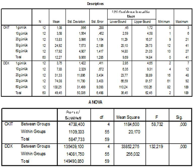 Tablo 2. İmmunopozitif hücrelerin gruplara göre dağılımı ve diğer tanımlayıcı parametreler Tablo 3.