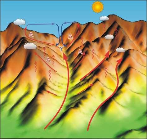 Vadi Meltemi Prof. Dr. Hasan TATLI 25 Gündüz vadi ya da dağ yamaçları boyunca yukarıya doğru yönelen sıcak hava akışına, vadi meltemi adı verilir.