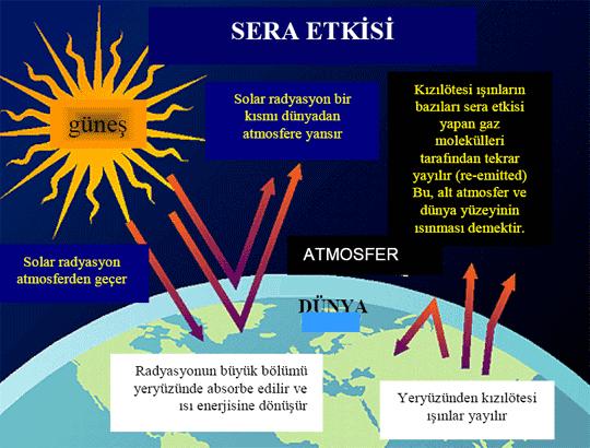 Küresel Isınma Sonucu Öngörülen 21 İlginç Durum Genel olarak, sera etkisi iyi bir şeydir.