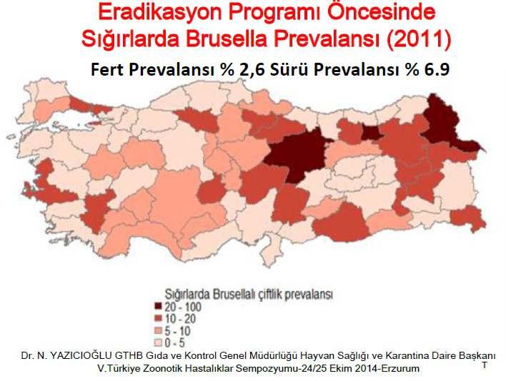 Eradikasyon Programı Öncesinde